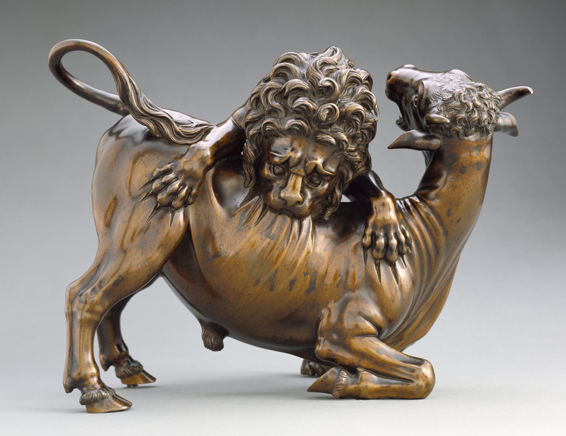 Lion Attacking a Bull | Nicholas Hall