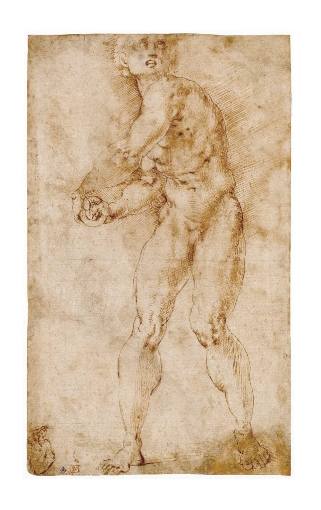 pontormo drawings